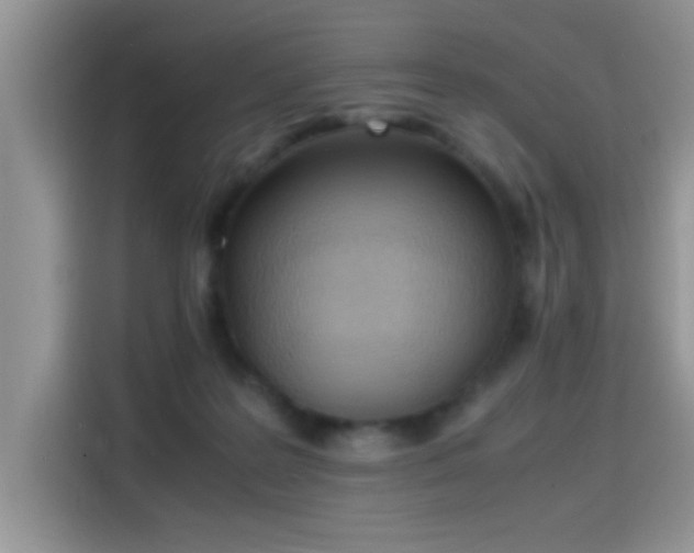 X0000115440219200911121130