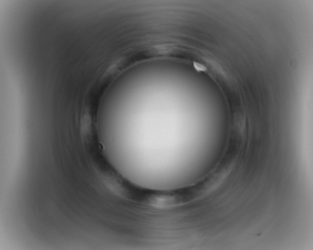 X0000115440220200911121130