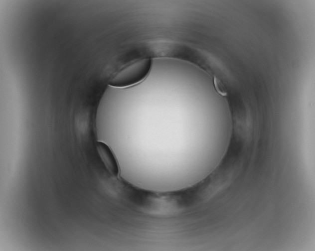 X0000115440221200911121129