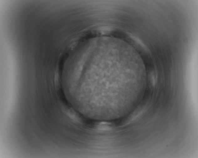 X0000115440222200911121129