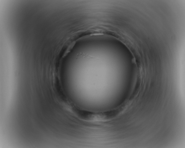 X0000115440223200911121129