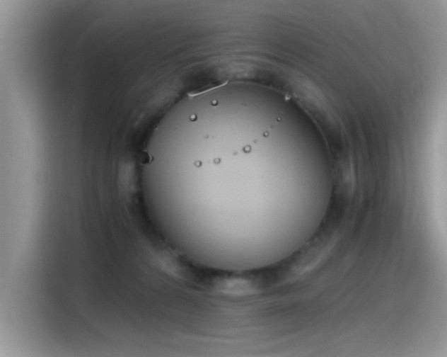 X0000115440224200911121129
