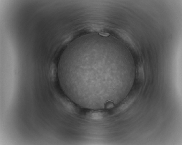 X0000115440228200911121129