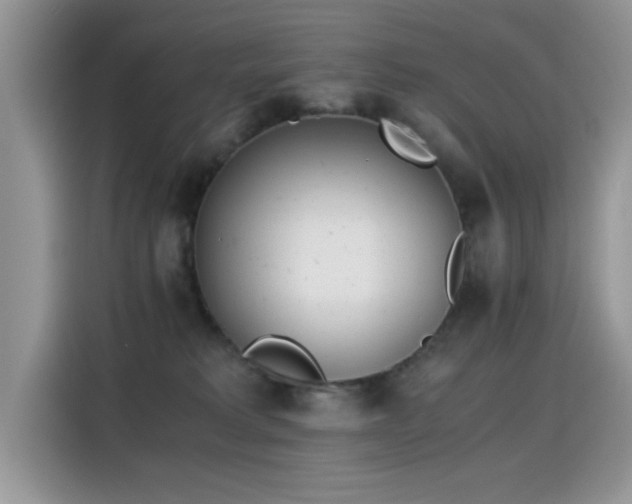 X0000115440229200911121129