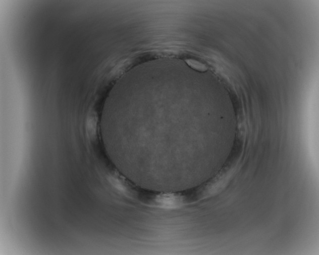 X0000115440231200911121129