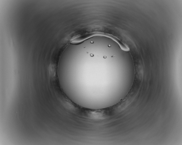 X0000115440232200911121129
