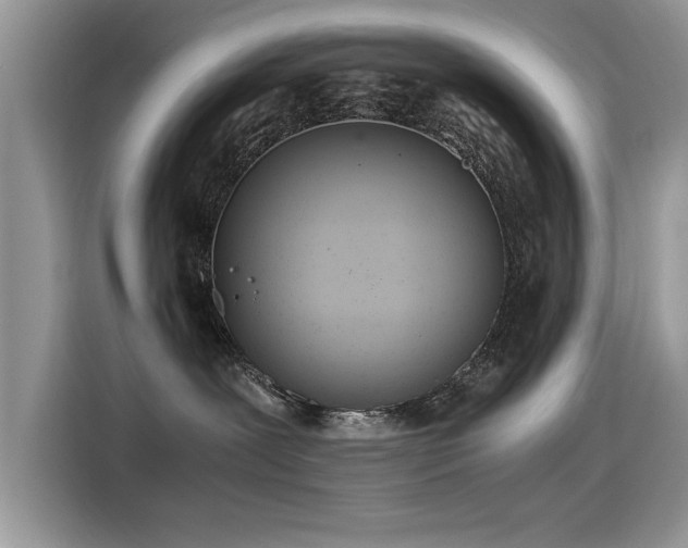 X0000115440239200911121129