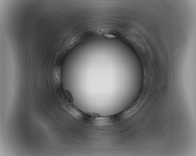 X0000115440240200911121129