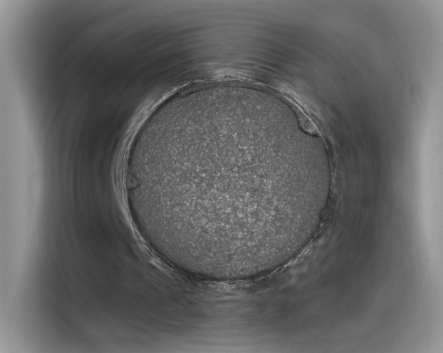 X0000115440241200911121129