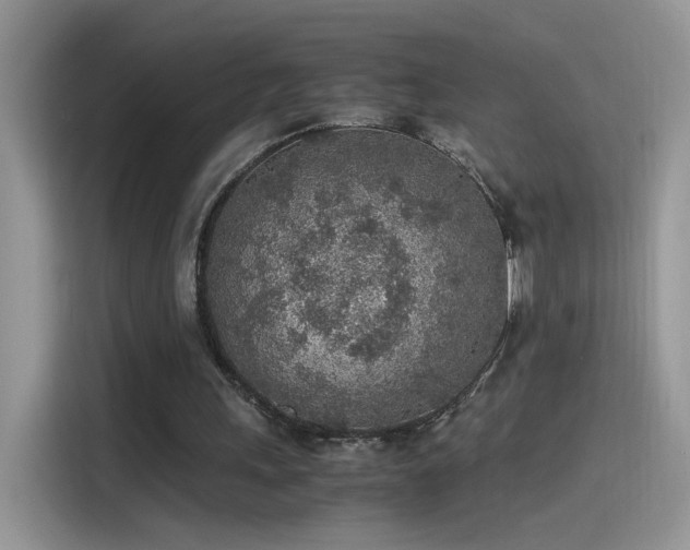 X0000115440243200911121129