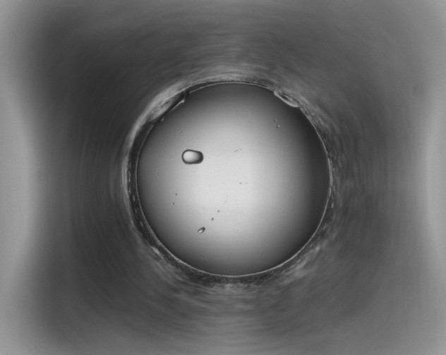 X0000115440244200911121129