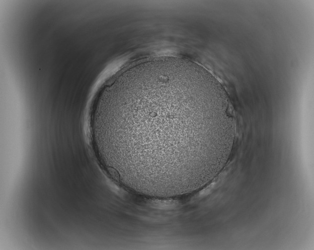 X0000115440245200911121129