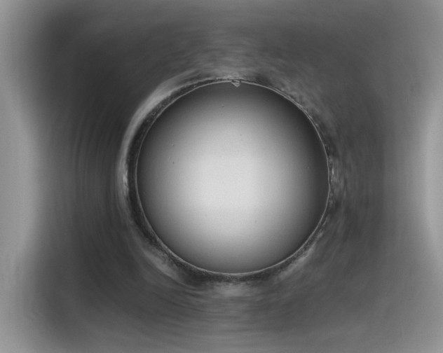 X0000115440246200911121129