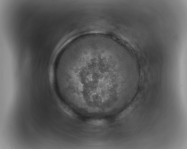 X0000115440247200911121129
