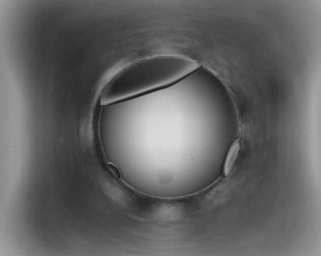 X0000115440248200911121129