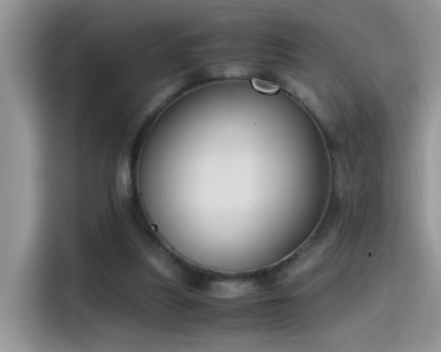X0000115440251200911121129