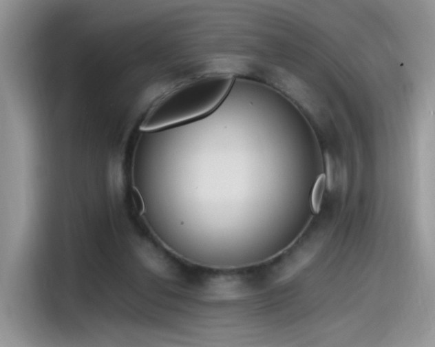 X0000115440252200911121129