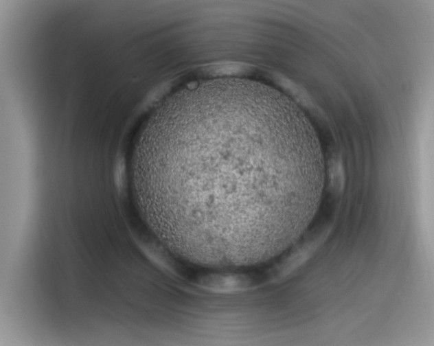 X0000115440254200911121129
