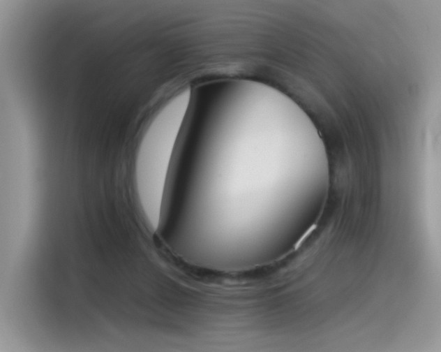 X0000115440256200911121129