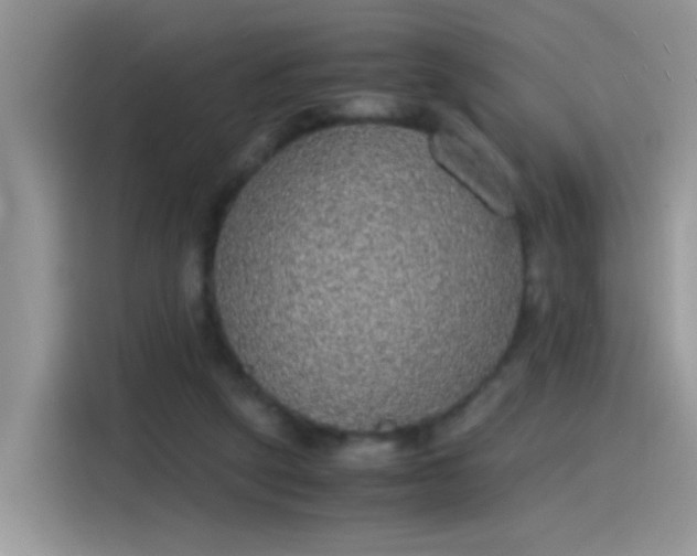 X0000115440257200911121129