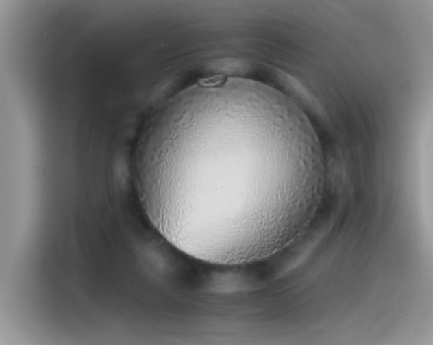X0000115440259200911121129