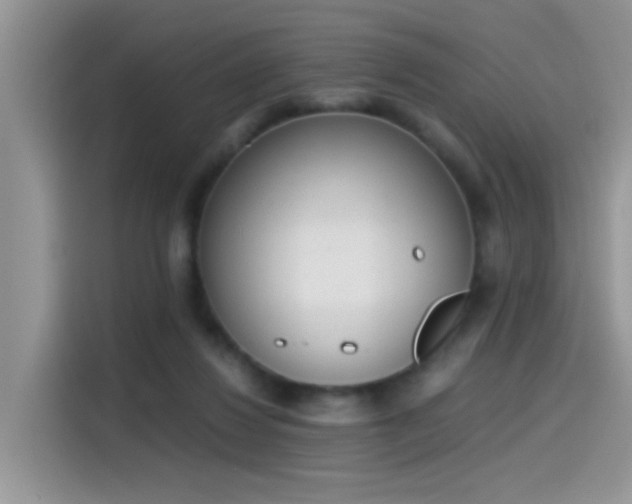 X0000115440260200911121129