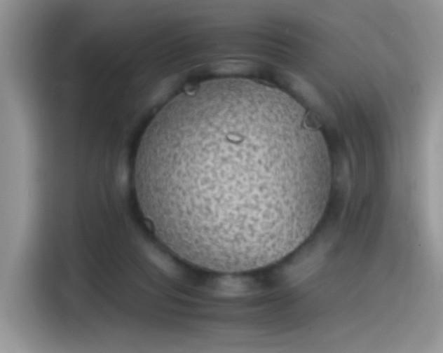 X0000115440261200911121129