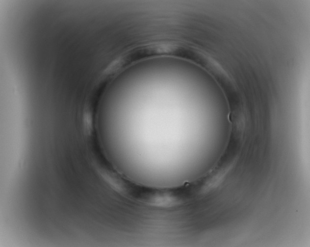 X0000115440262200911121129