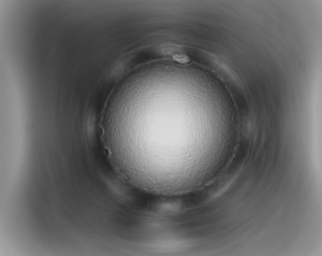 X0000115440263200911121129