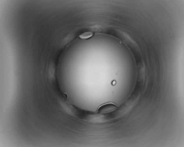 X0000115440266200911121129
