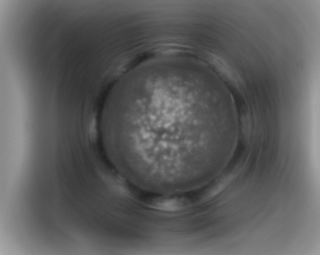X0000115440267200911121129