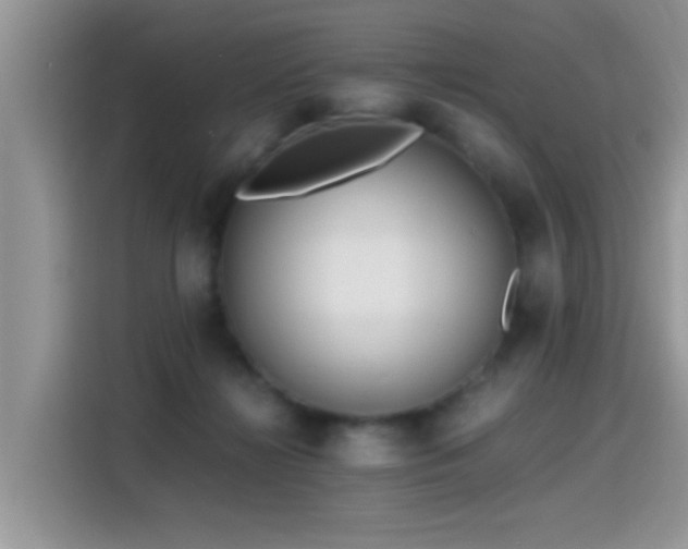 X0000115440268200911121129