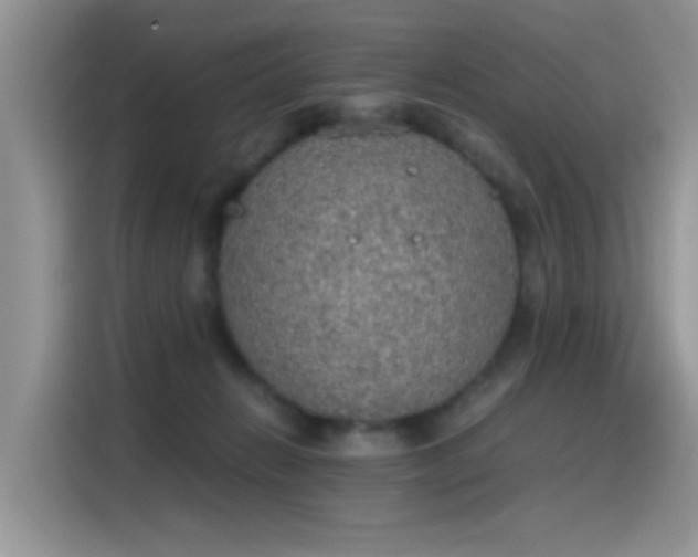 X0000115440270200911121129