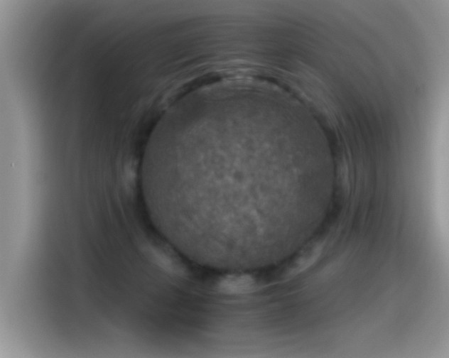 X0000115440271200911121129