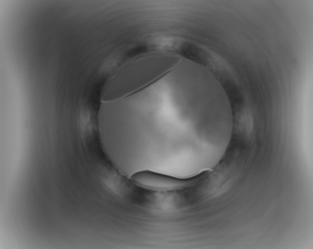 X0000115440272200911121129