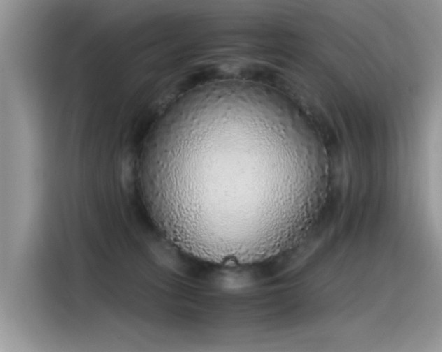 X0000115440275200911121129