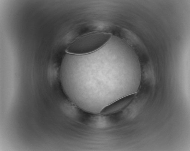 X0000115440276200911121129