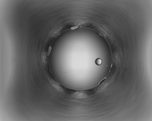 X0000115440280200911121129