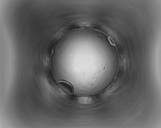 X0000115440281200911121129