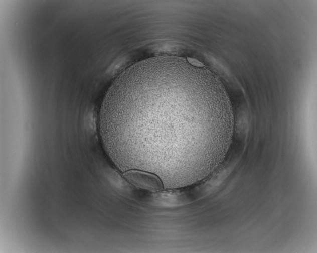 X0000115440282200911121129