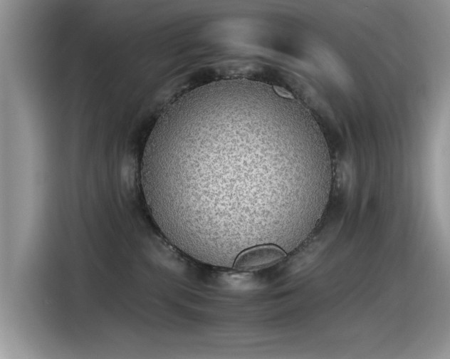 X0000115440283200911121129