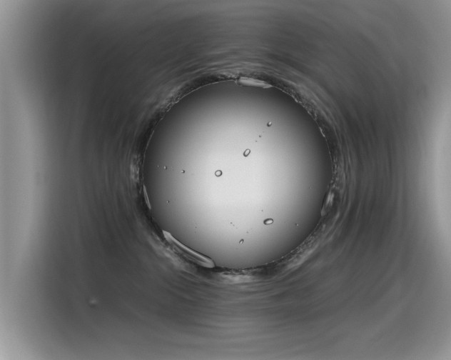 X0000115440284200911121129