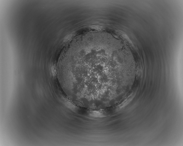 X0000115440285200911121129