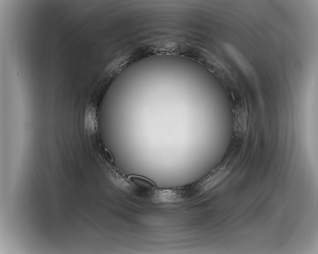 X0000115440287200911121129