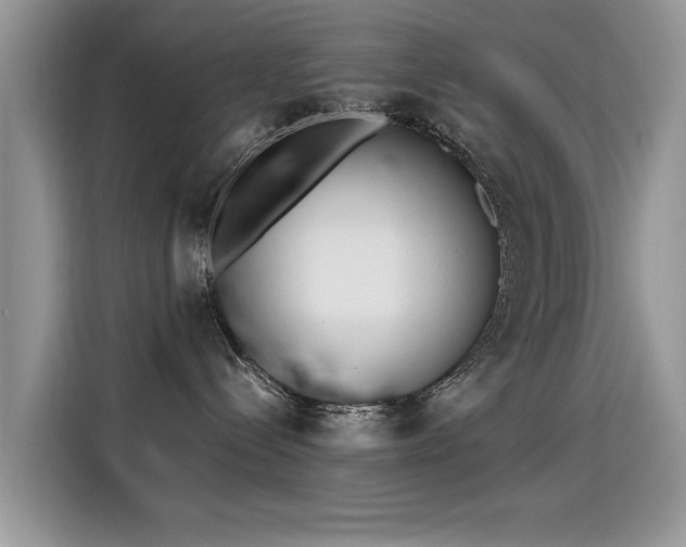X0000115440288200911121129