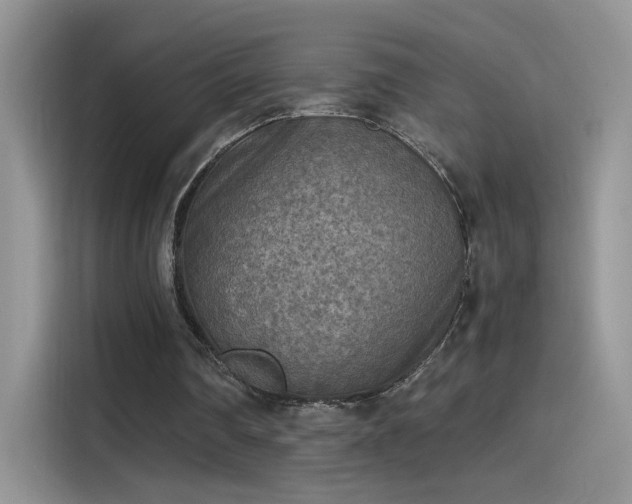 X0000115440290200911121129