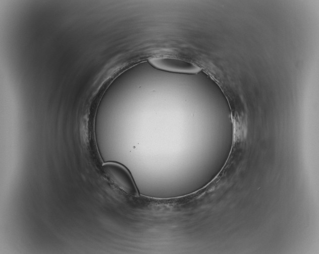 X0000115440291200911121129