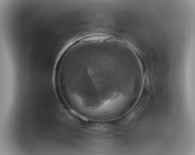 X0000115440292200911121129