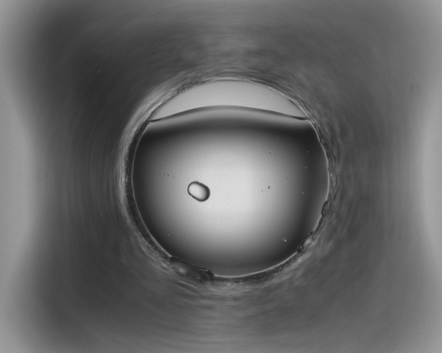 X0000115440293200911121129