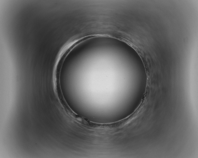 X0000115440294200911121129